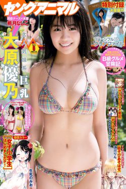 全彩里番acg海贼王同人本子